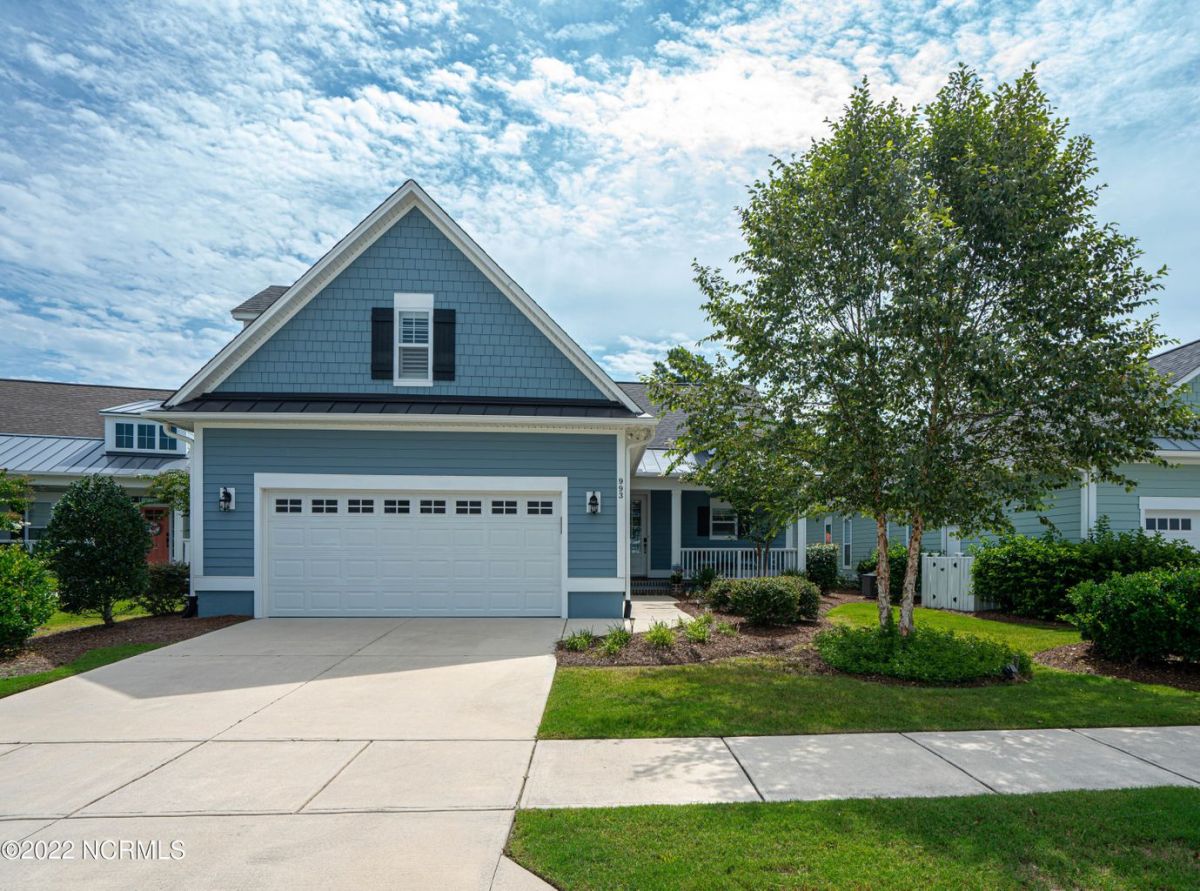 993 Tannin Bark Circle