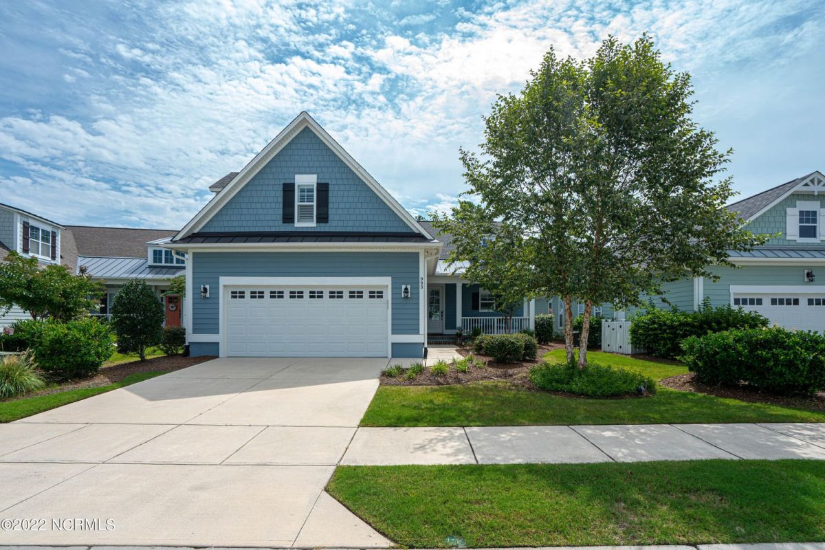 993 Tannin Bark Circle