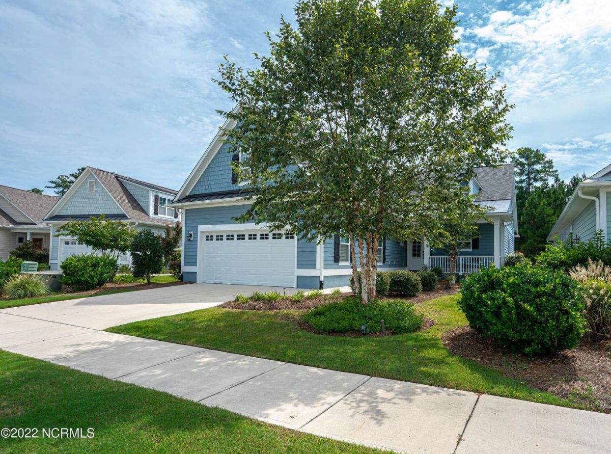 993 Tannin Bark Circle