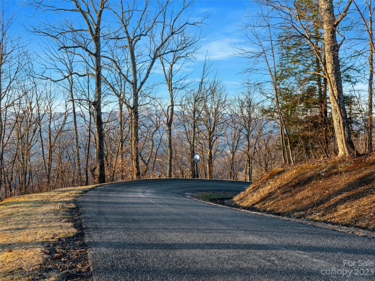 Lot 17 Old Growth Forest Road