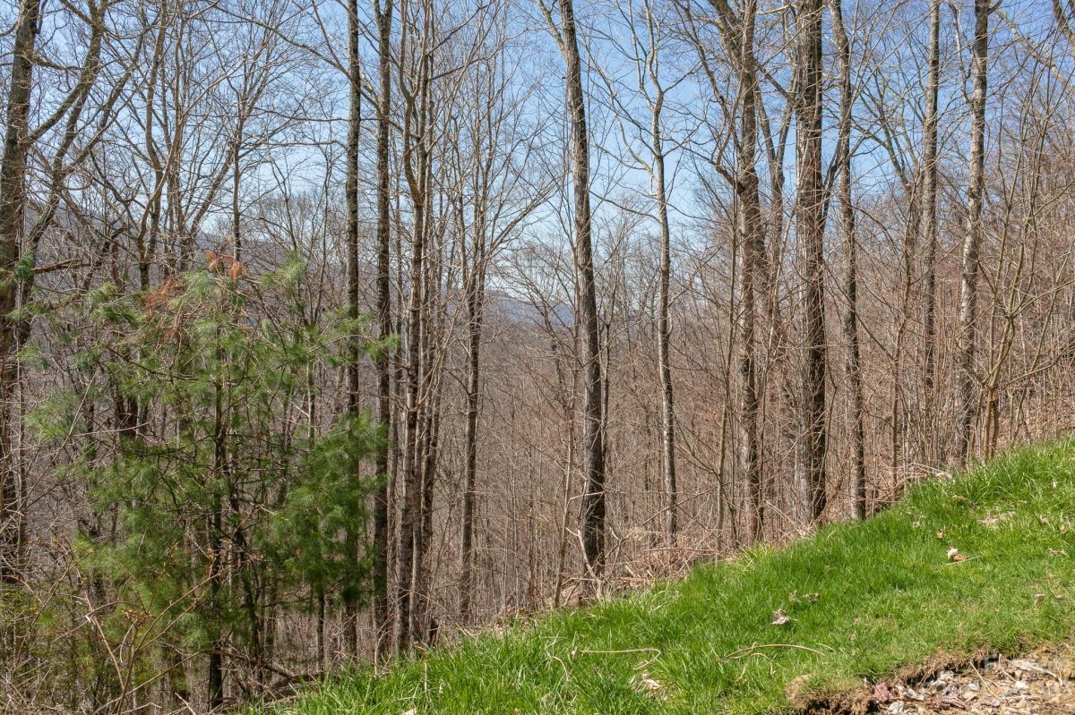 LOT 13 Austin Mountain Drive