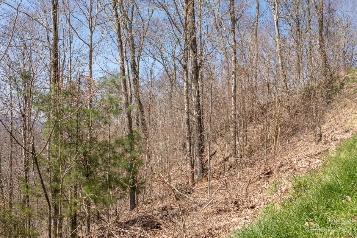 LOT 13 Austin Mountain Drive