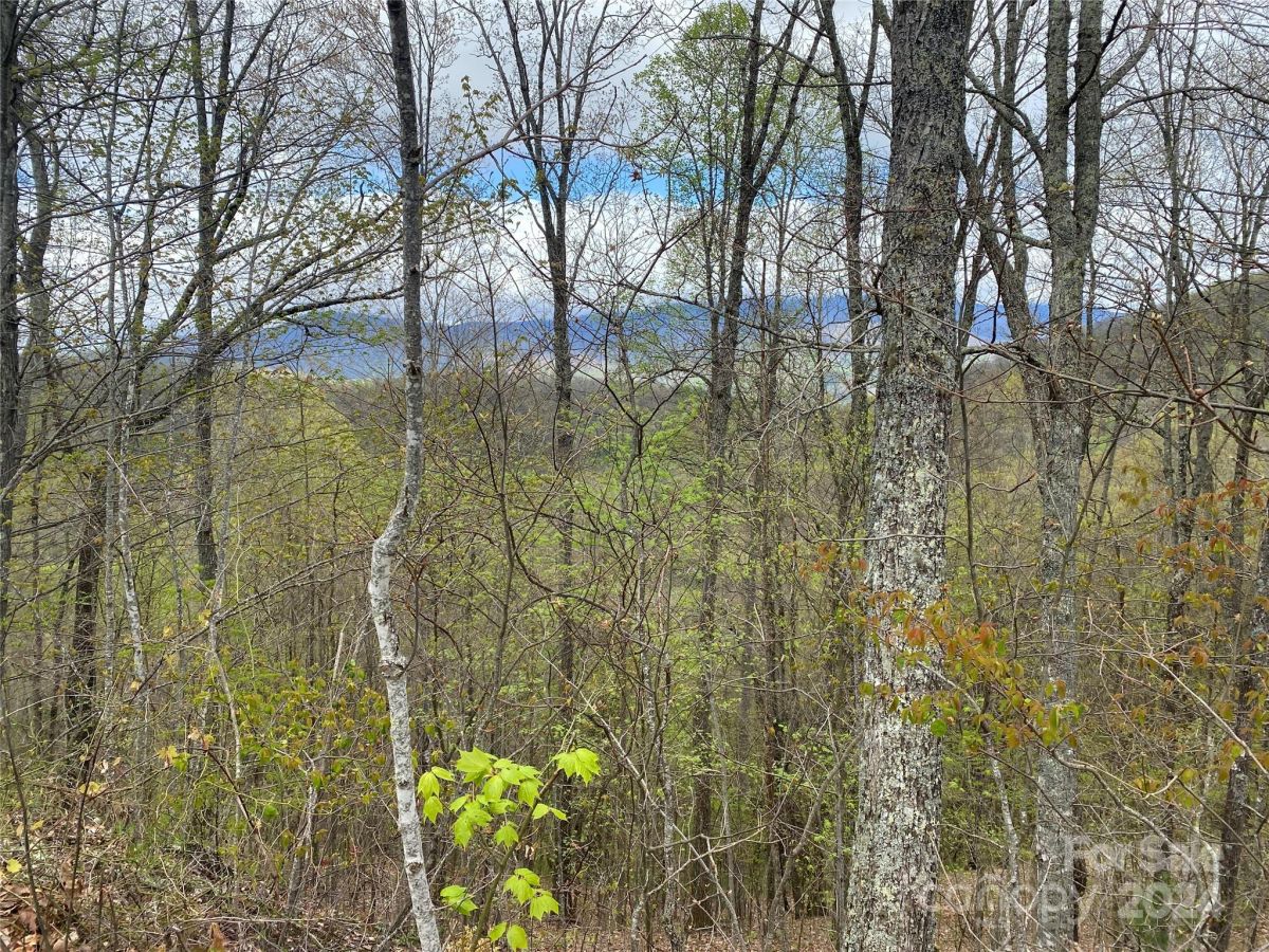 Lot 33 Heritage Ridge Road