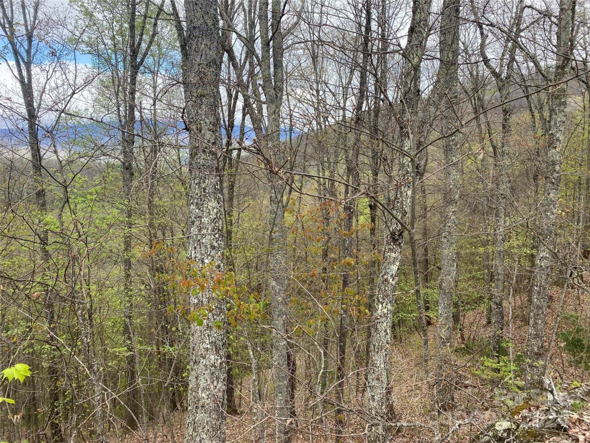 Lot 33 Heritage Ridge Road