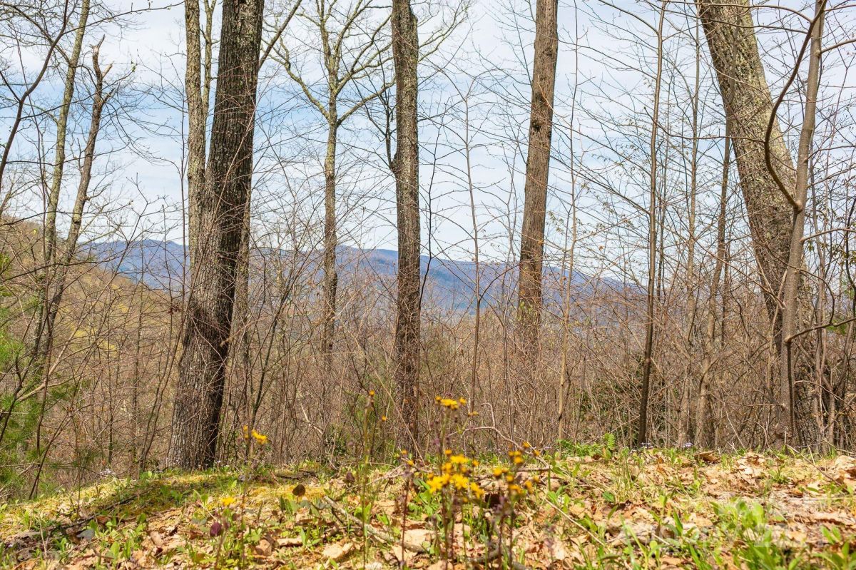 Lot 12 Heritage Ridge Loop