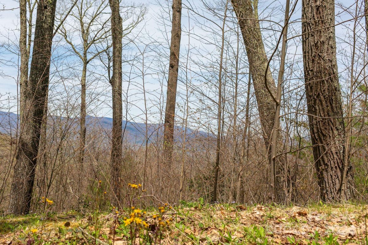 Lot 12 Heritage Ridge Loop