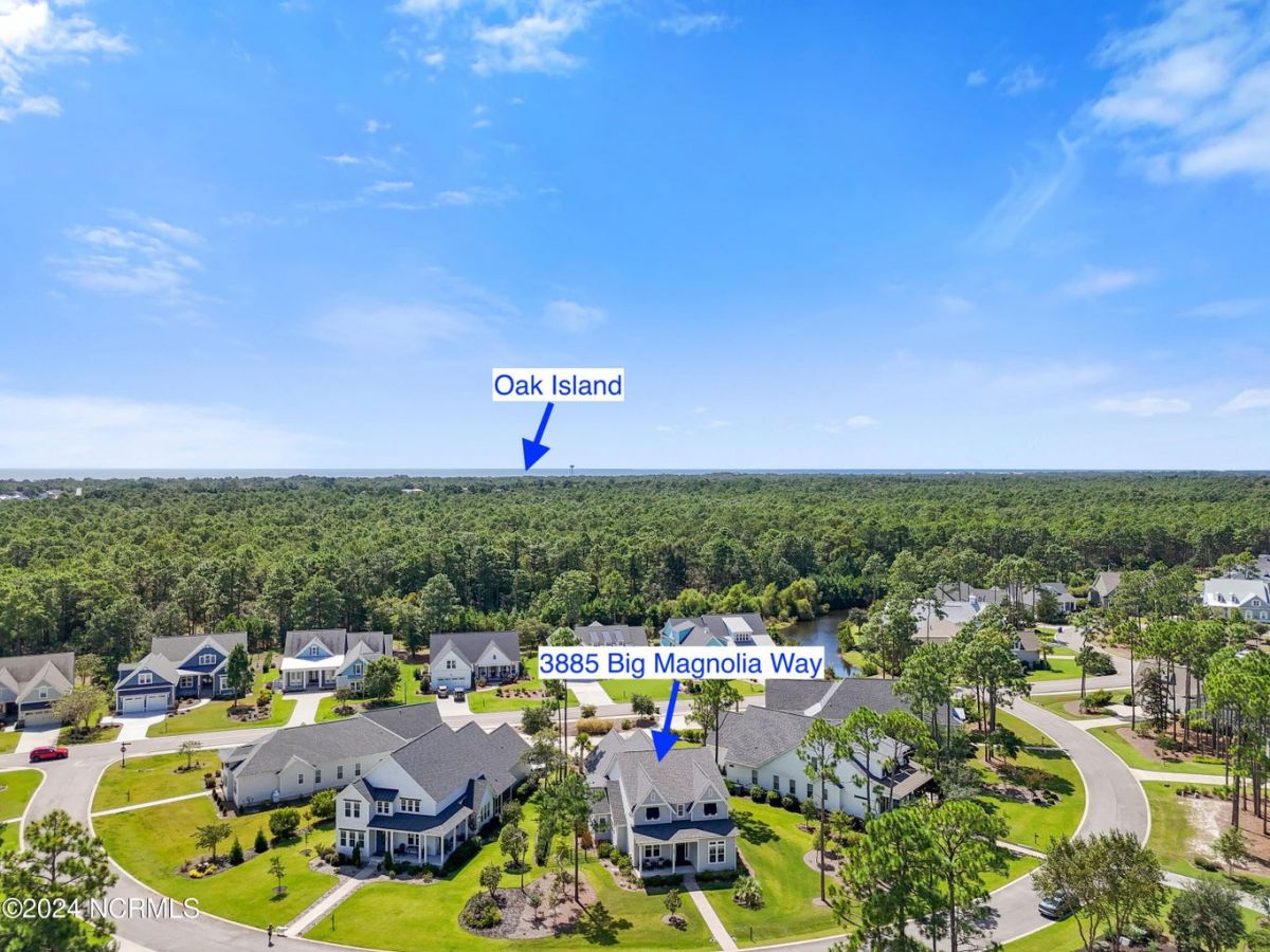 3885 Big Magnolia Way