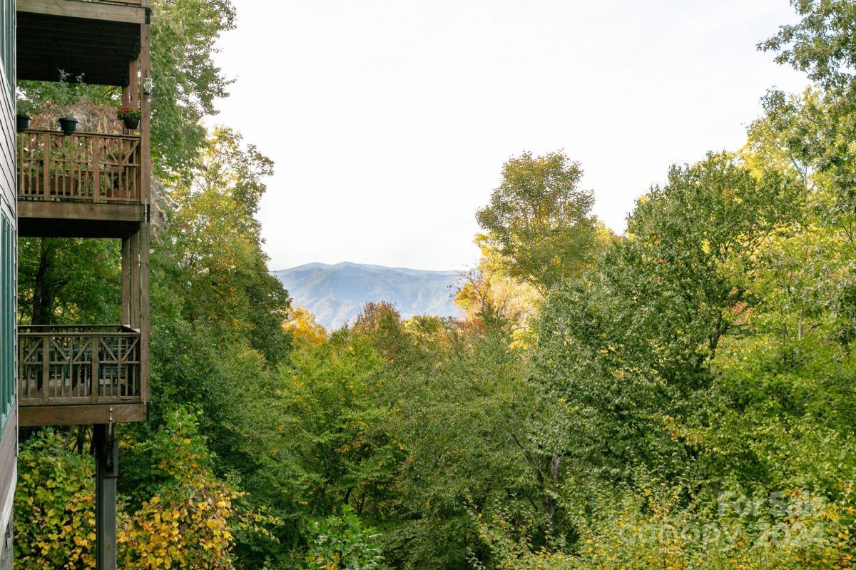 222 Creekside Way