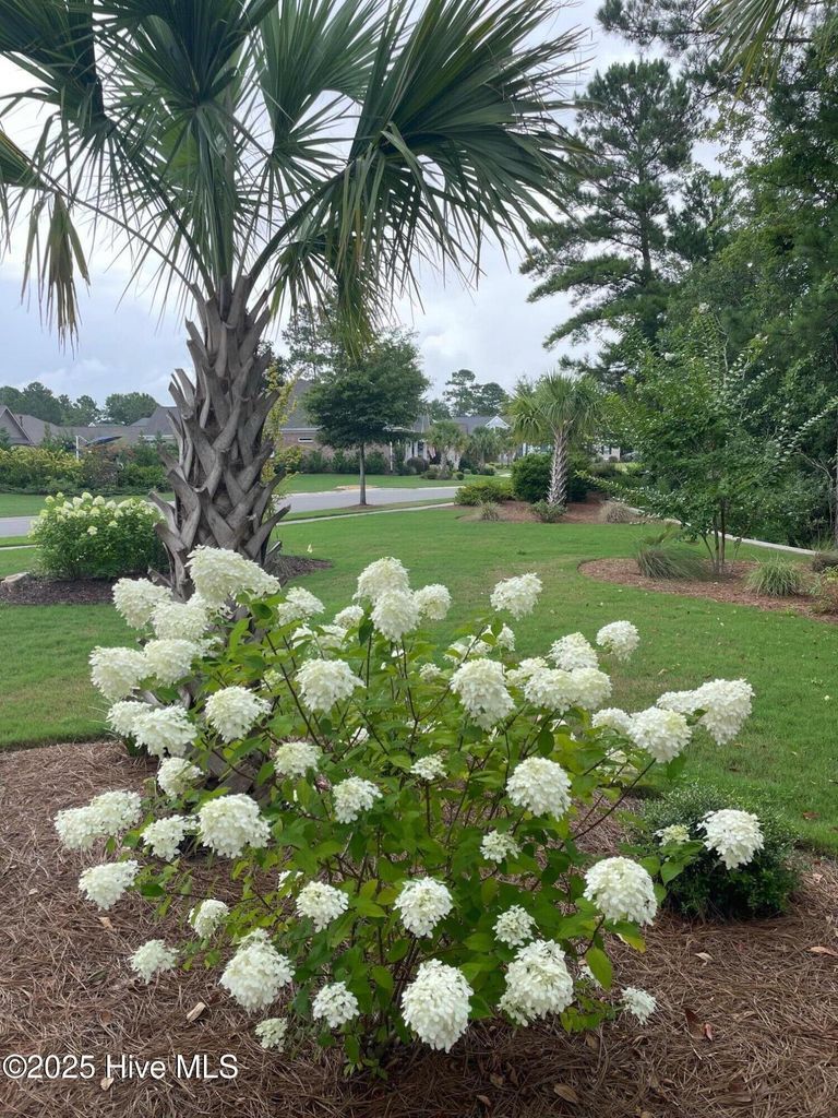 8228 Oak Abbey Trail