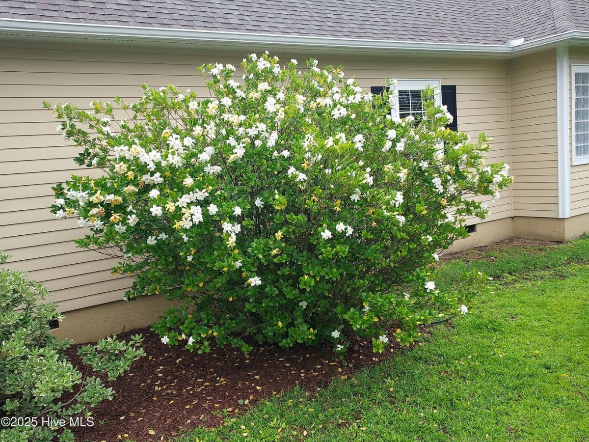 4152 Sheffield Place