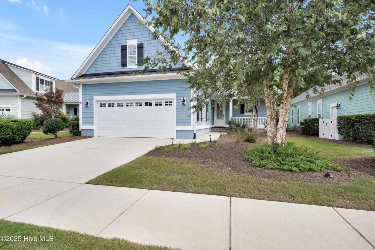 993 Tannin Bark Circle