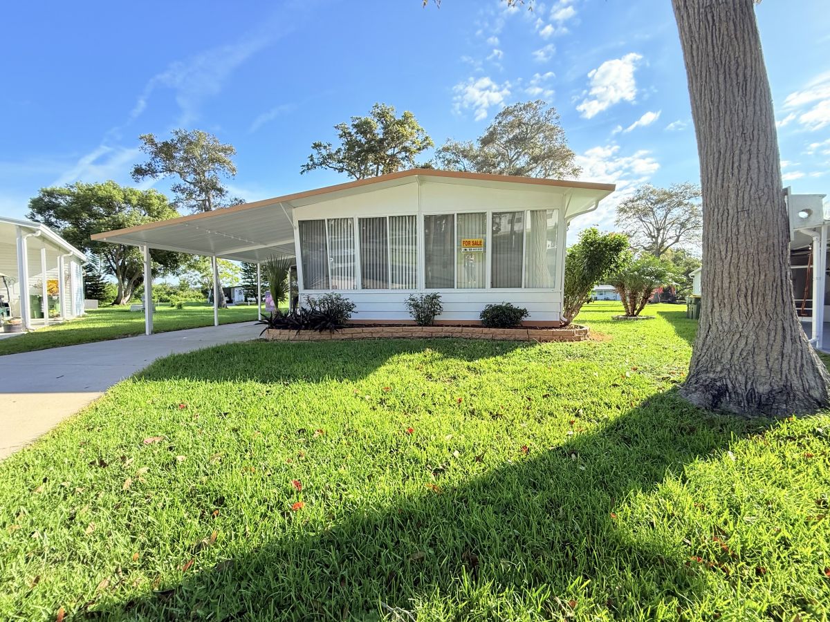 82 Cypress in the Wood