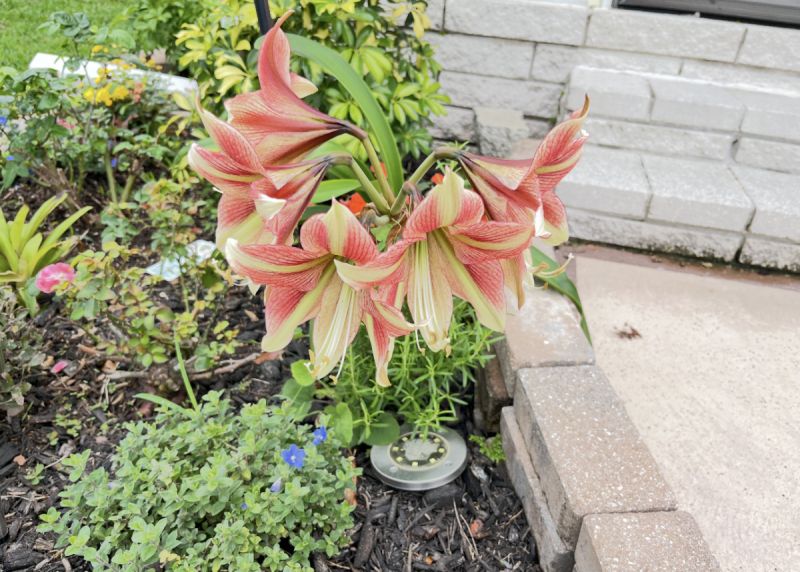 4535 Arlington Park Dr. Lot #122