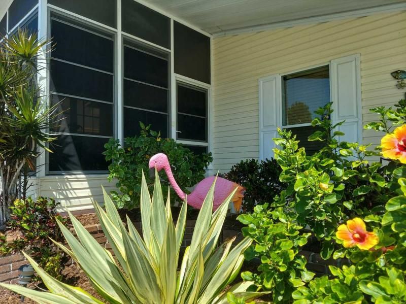 144 Tiger Lilly Drive