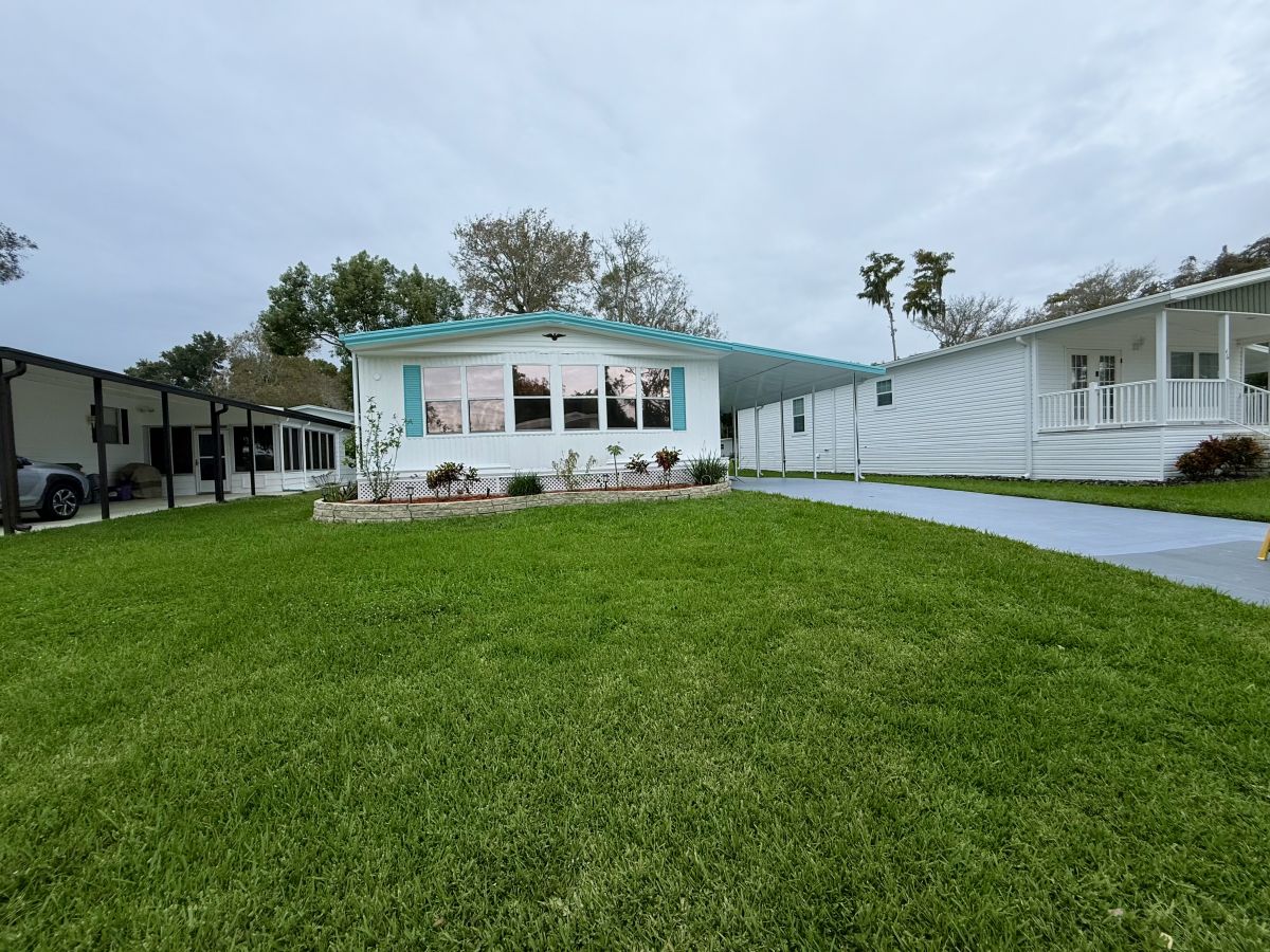 42 Cypress in the Wood