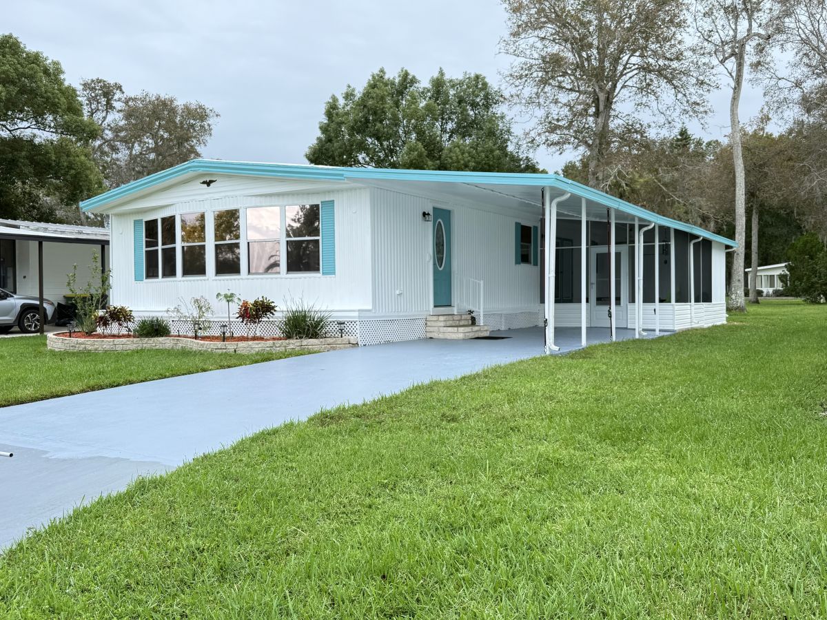 42 Cypress in the Wood