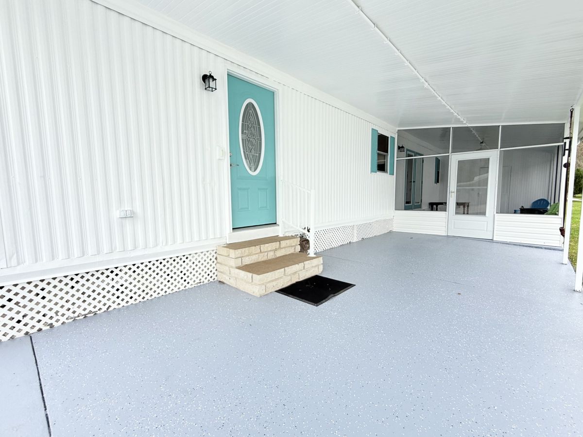 42 Cypress in the Wood