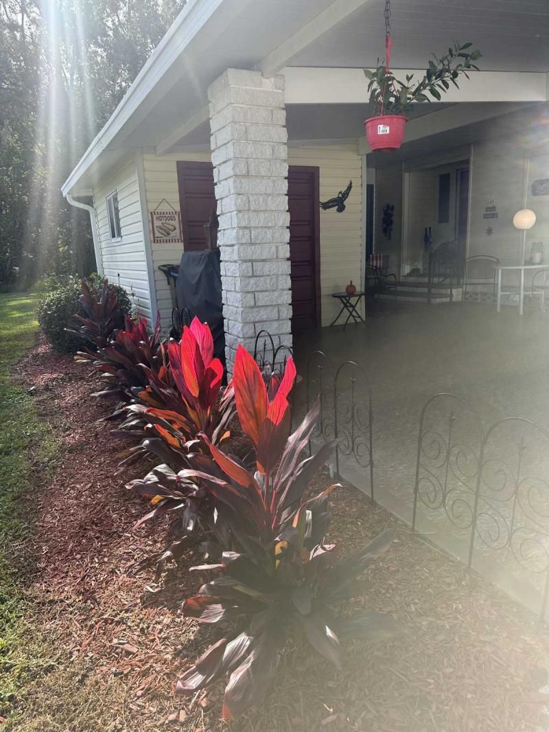 1443 Double Eagle Lot #441