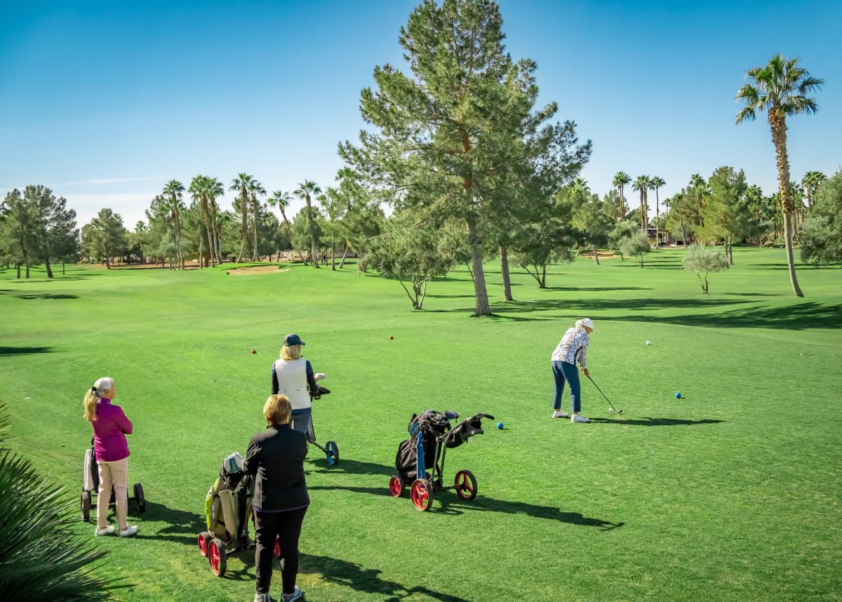 1110 North Henness Rd 255