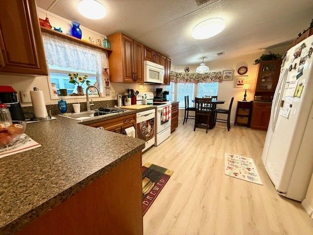 2550 State Rd. 580 #0255