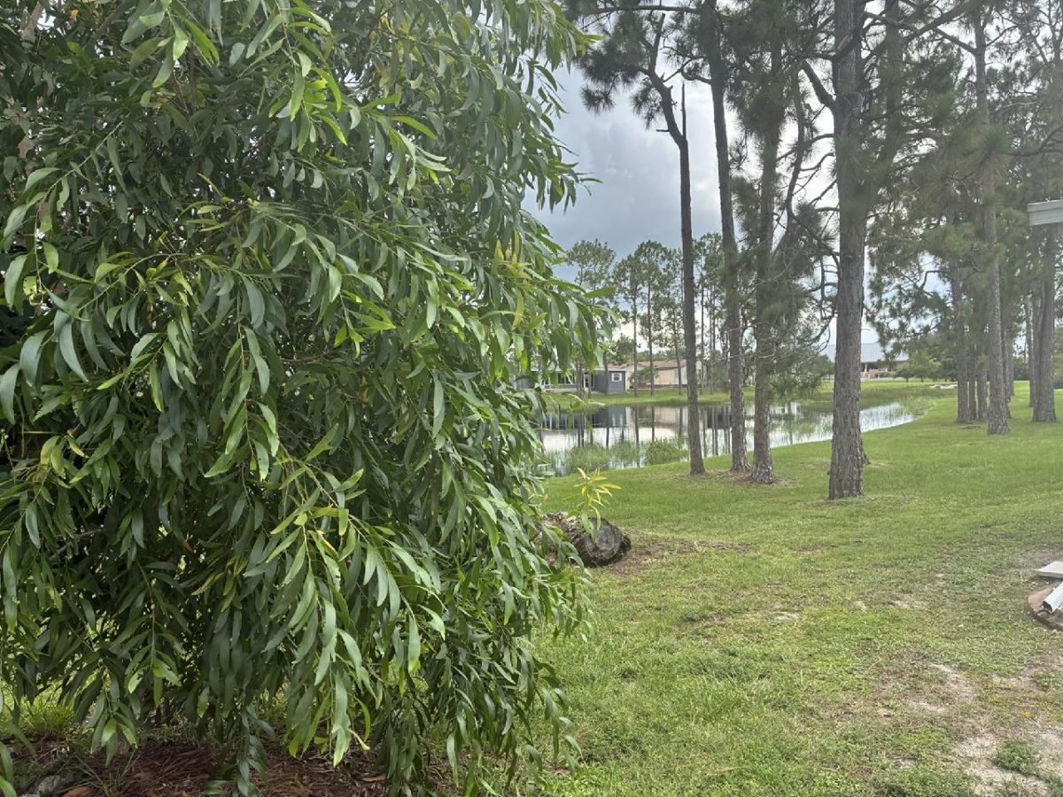 19701 WOODFIELD CIRCLE #151