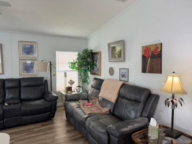 743 SUNNY SOUTH AVE.