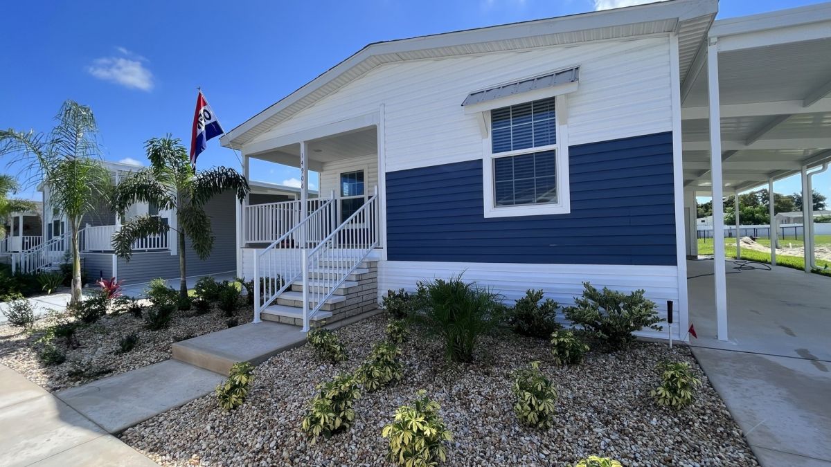 29 Cypress in the Wood