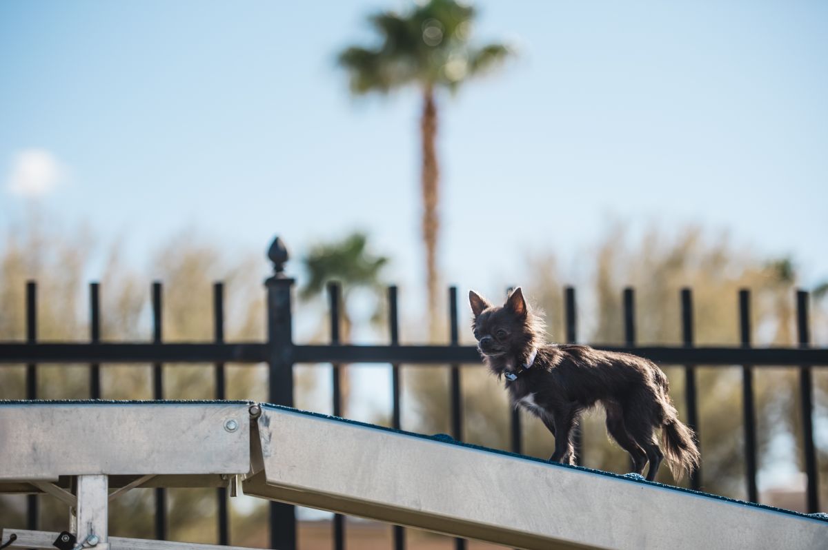 1110 North Henness Rd 934