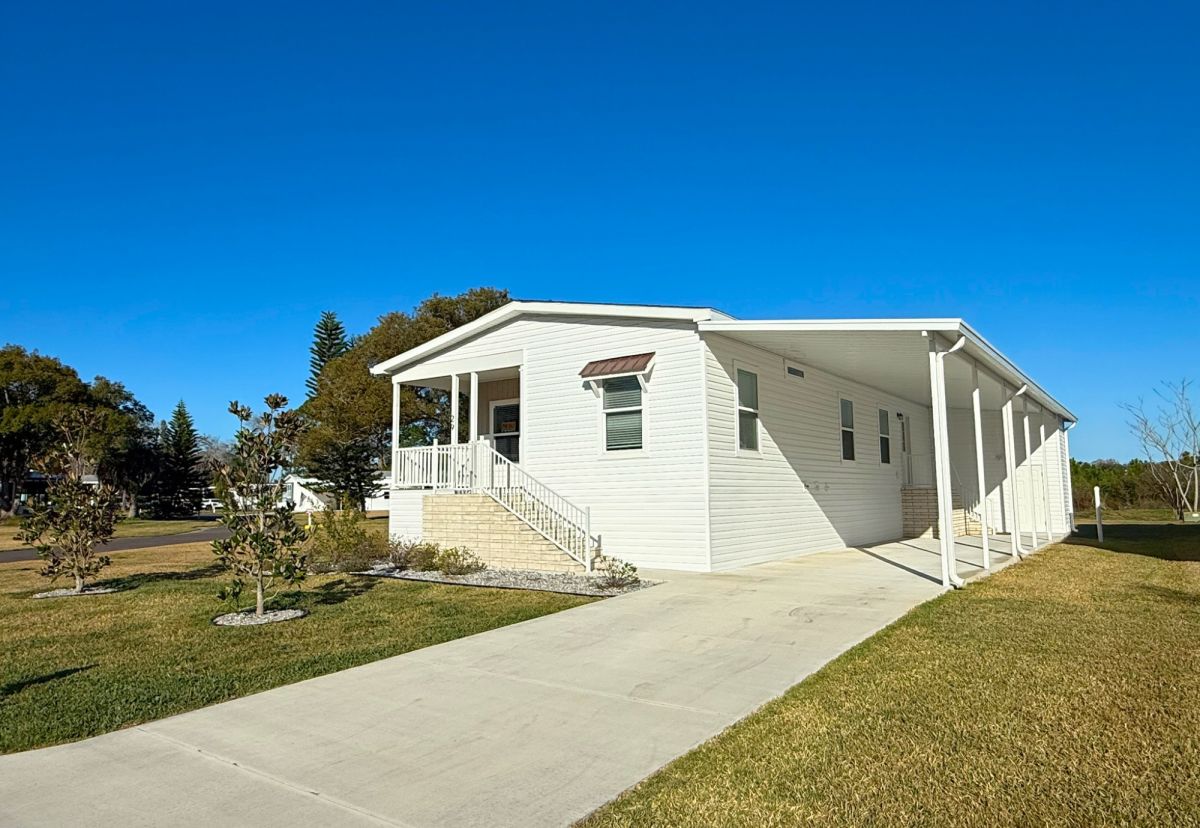 29 Cypress in the Wood