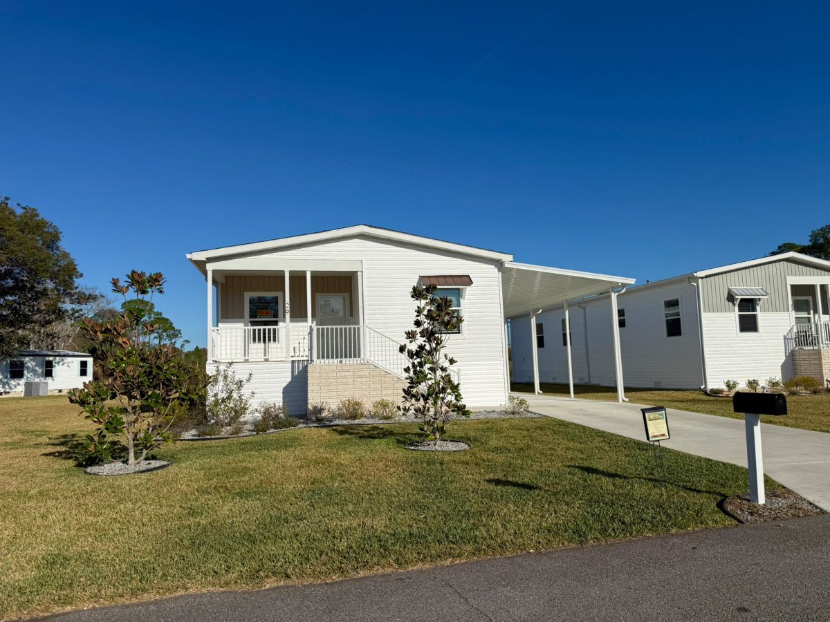 29 Cypress in the Wood