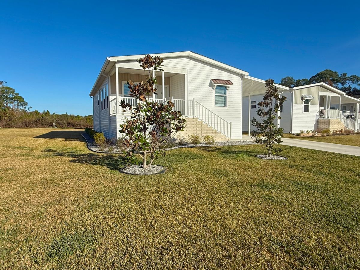 29 Cypress in the Wood