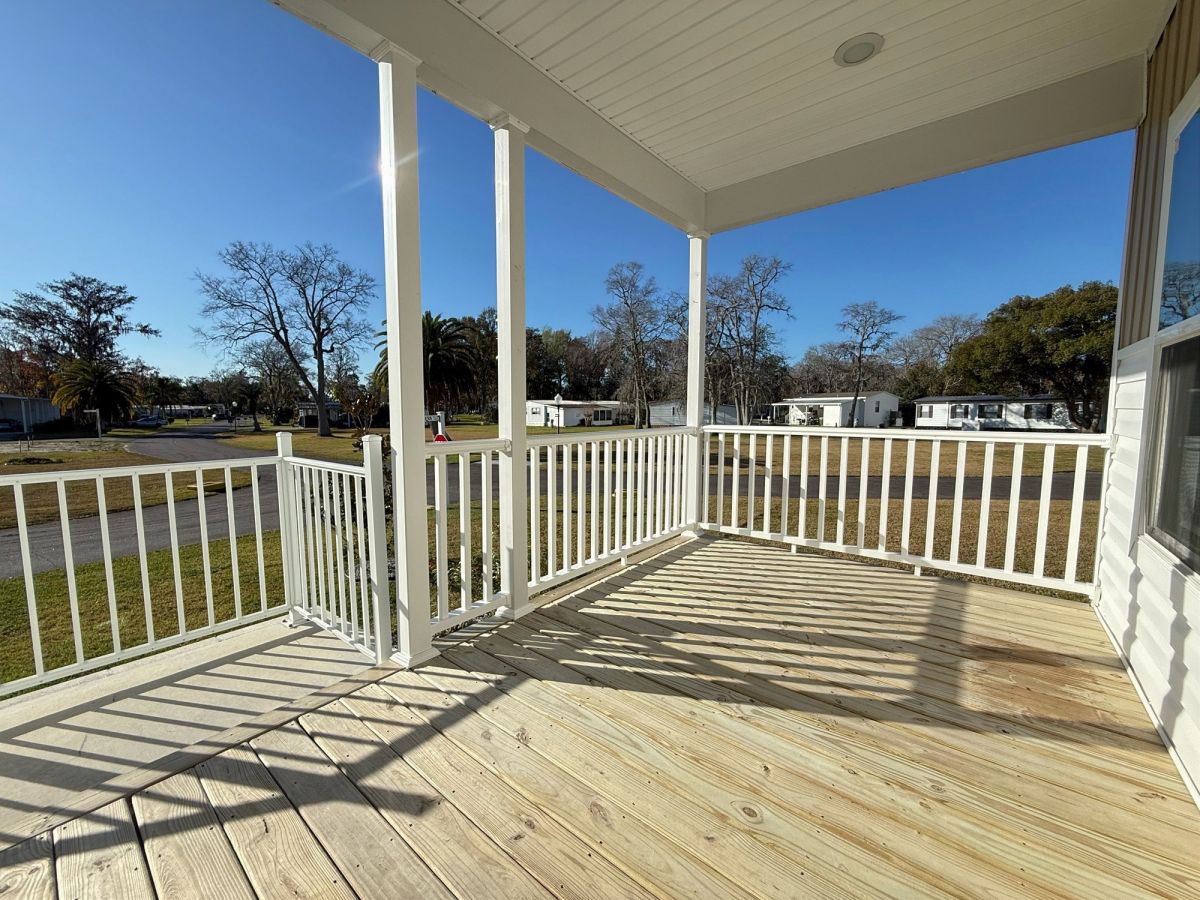 29 Cypress in the Wood