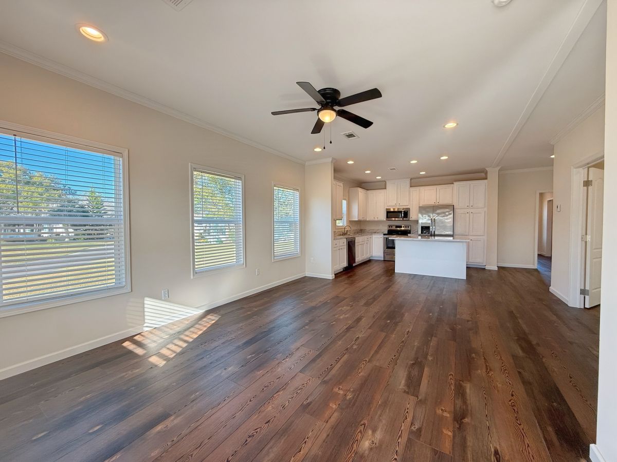 29 Cypress in the Wood