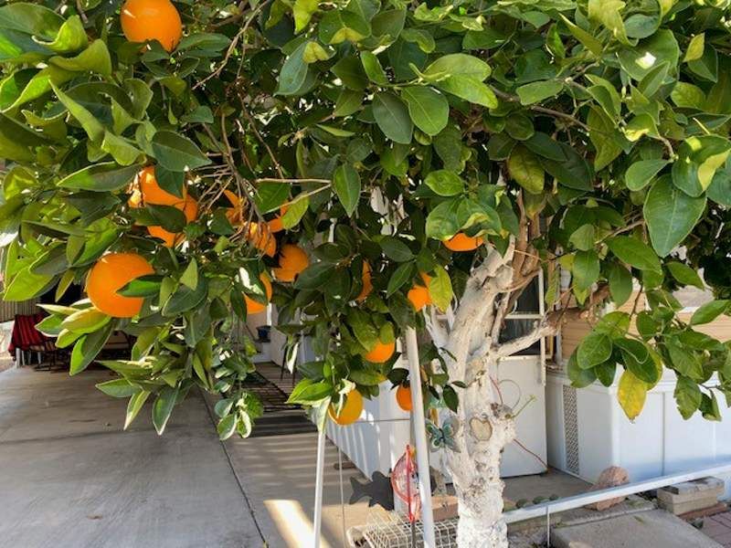 702 S. Meridian Rd. # 1072