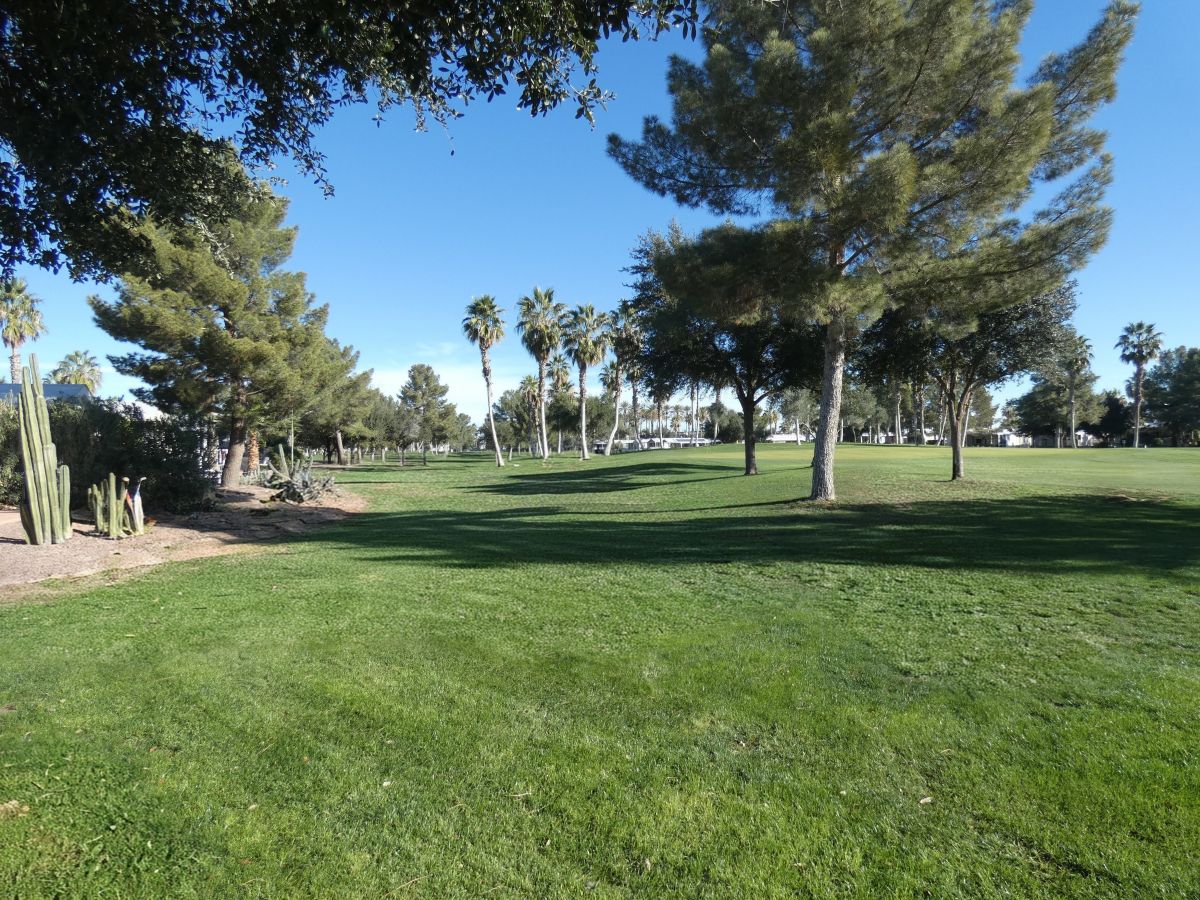 1110 North Henness Rd 676