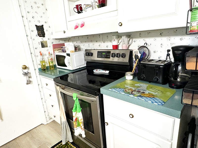 25621 Impatiens Court L-217