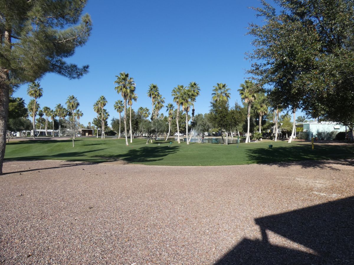 1110 North Henness Rd 701