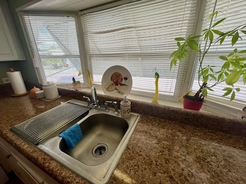 2550 State Rd. 580 #0482