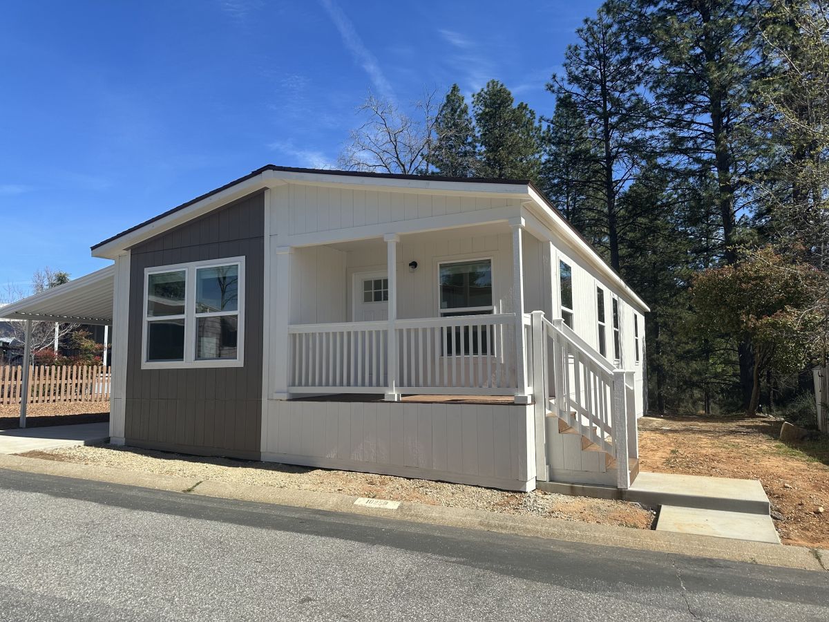 10259 Forest Springs Drive