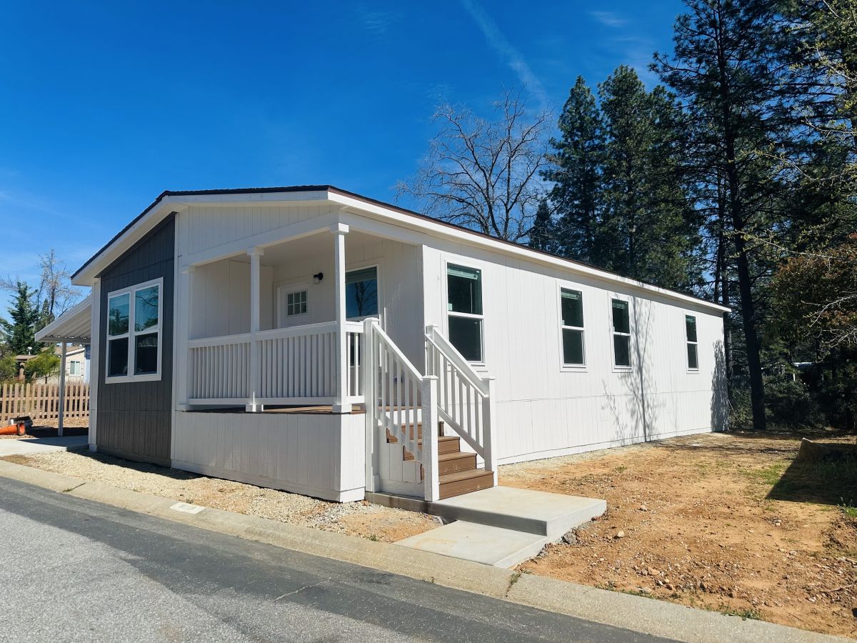 10259 Forest Springs Drive