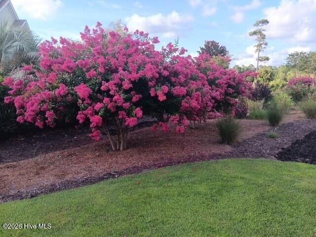 4296 Skeffington Court