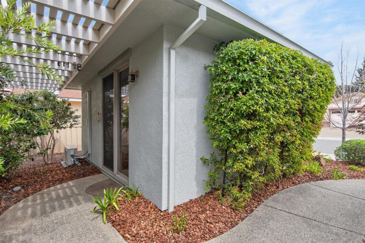 354 Daylily Lane