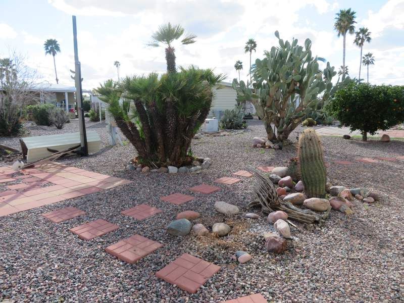 4065 E. University Drive #456