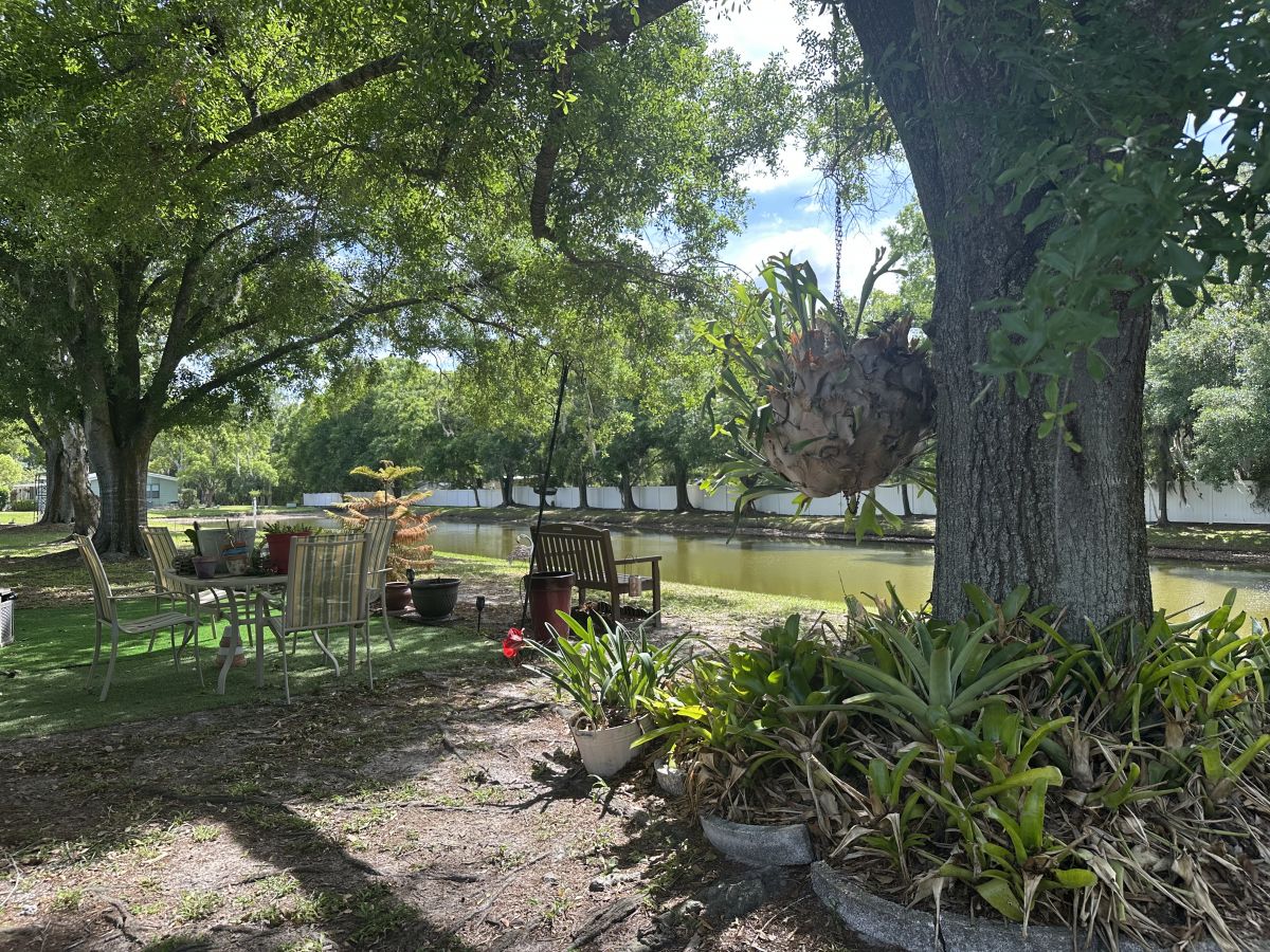 1221 Ariana Village Boulevard