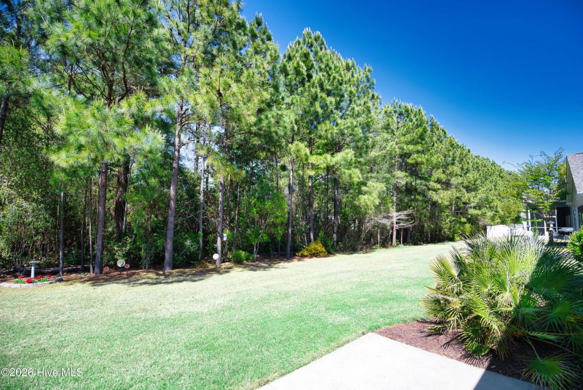 7031 Bonaventure Street