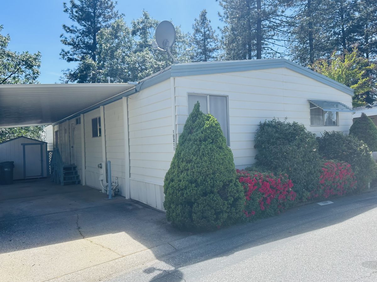 10211 Forest Springs Drive