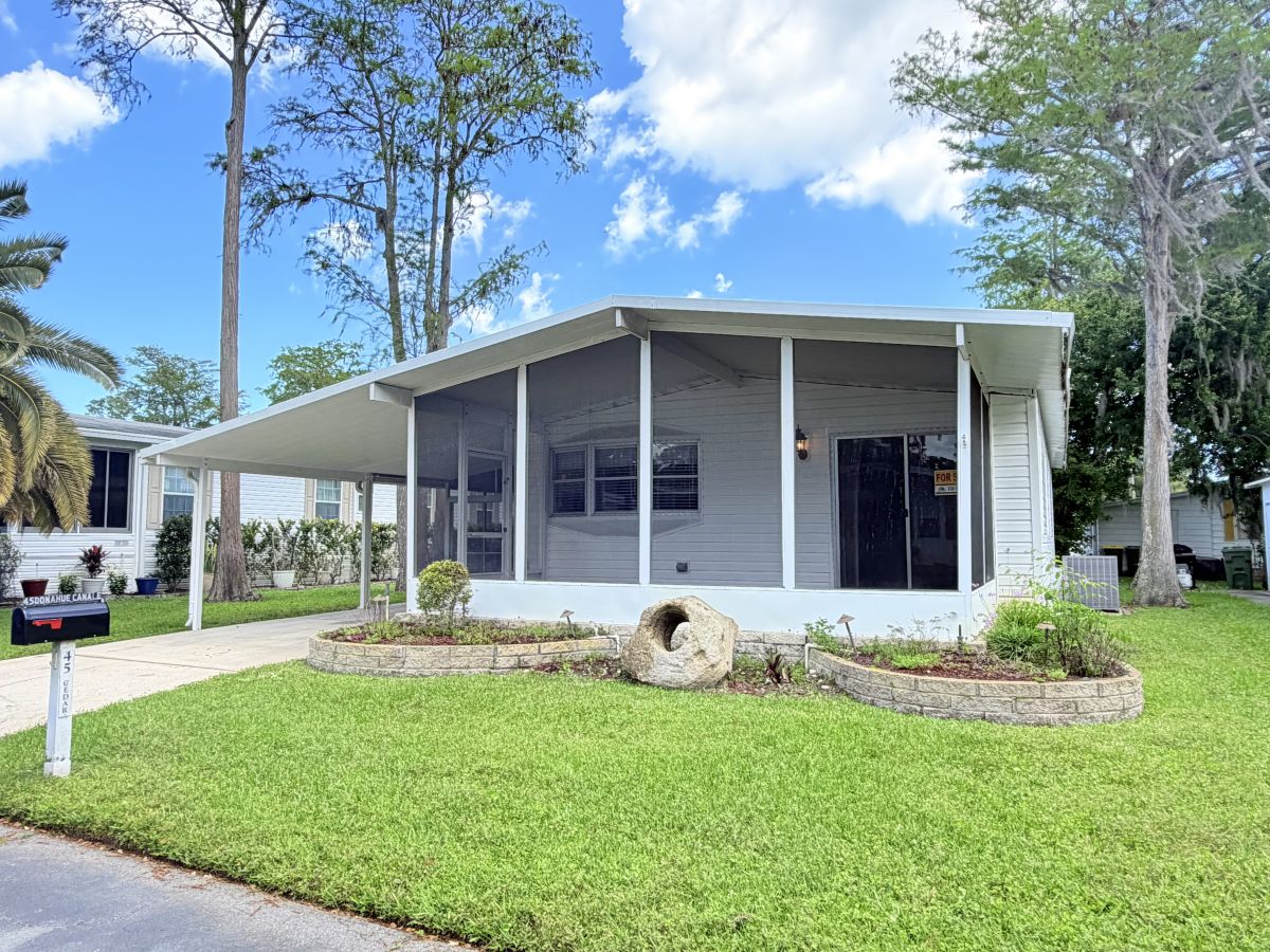 45 Cedar in the Wood