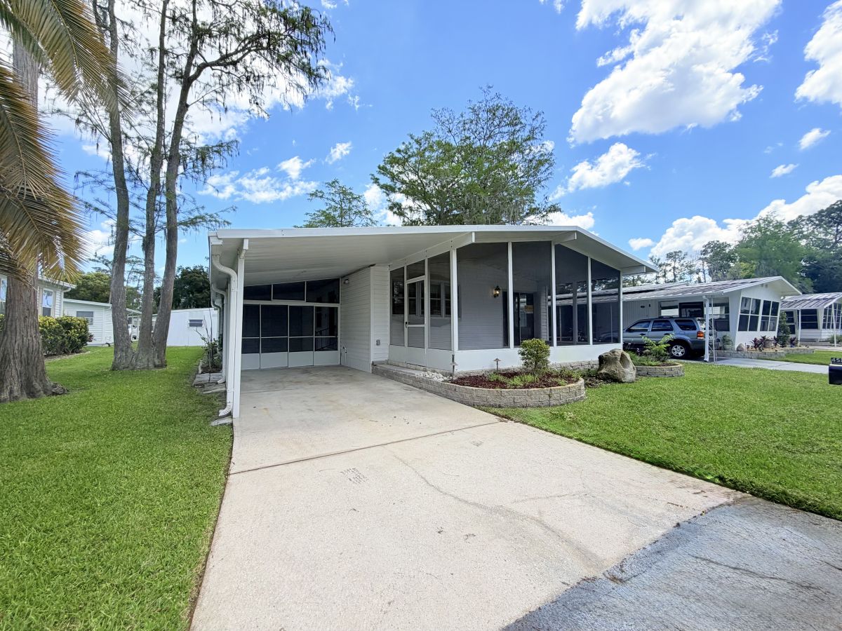 45 Cedar in the Wood