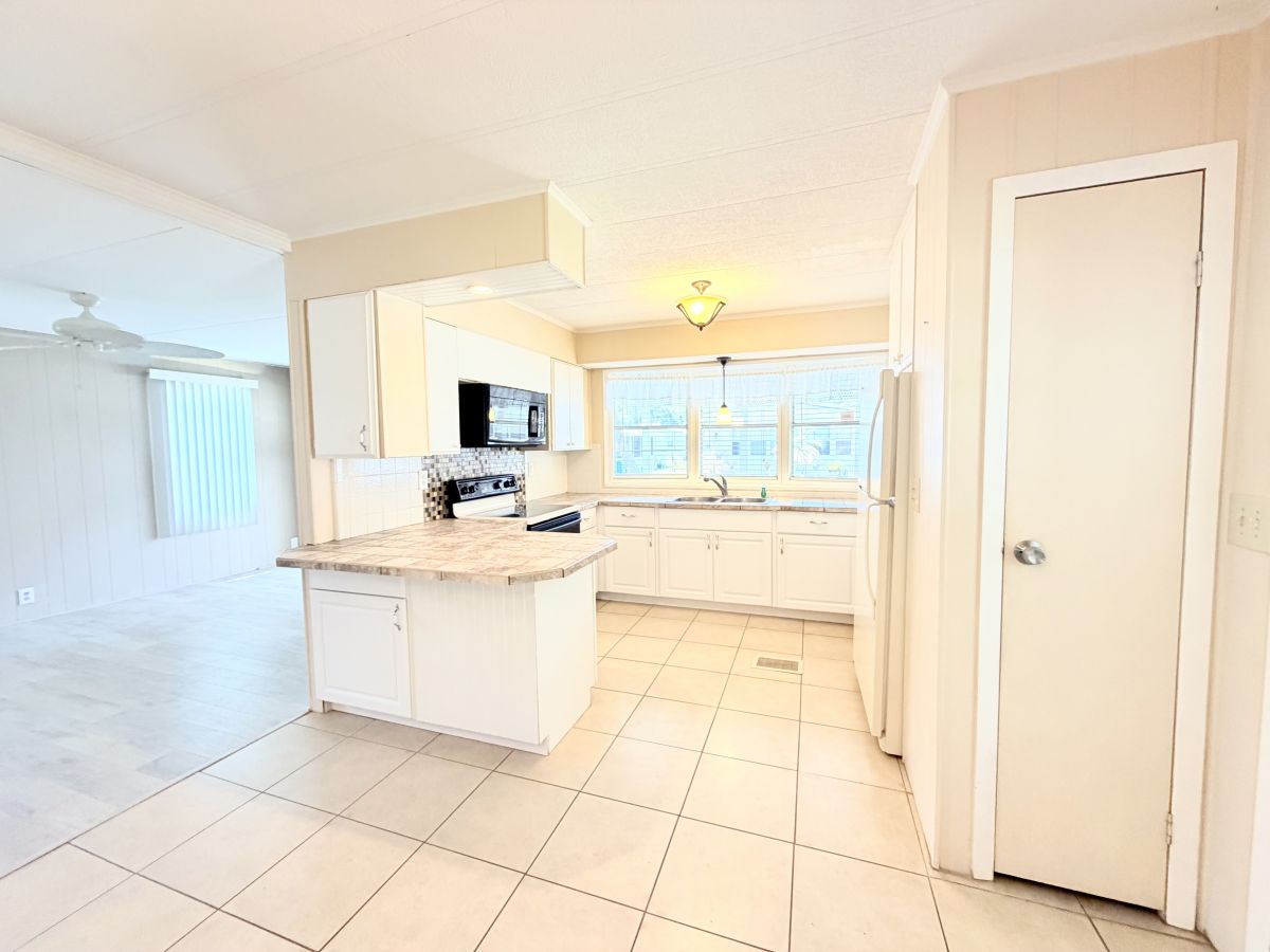 45 Cedar in the Wood