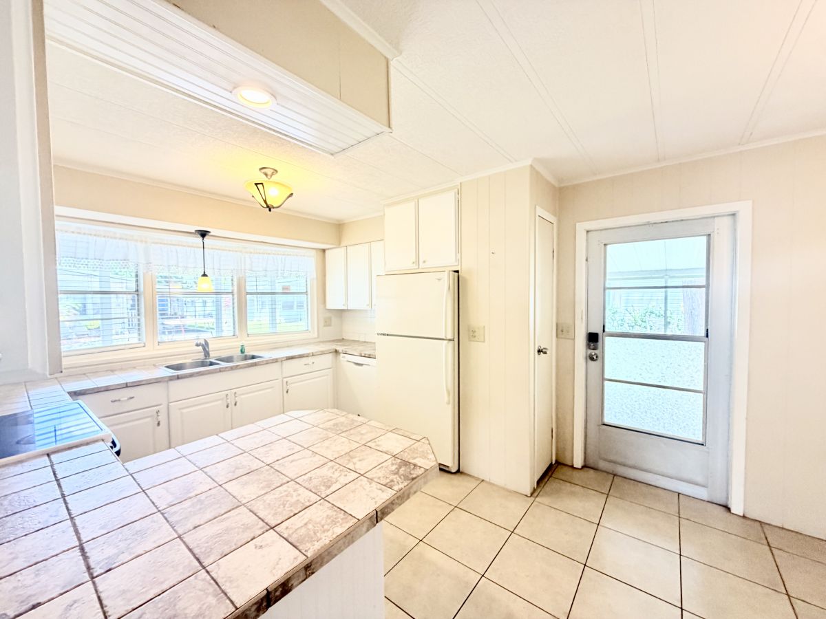 45 Cedar in the Wood